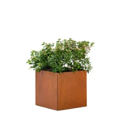 Bloembak Cortenstaal Klein 50x50x50cm