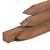 Paal Hardhout Met Punt 6.0×6.0x300cm