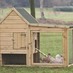 Kippenverblijf Wyandotte 190x95x165
