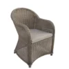 Wicker Luxe Stoel Davidson Donker Bruin